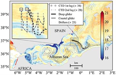 A Multiplatform Experiment to Unravel Meso- and Submesoscale Processes in an Intense Front (AlborEx)